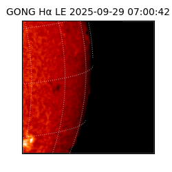 gong - 2025-09-29T07:00:42