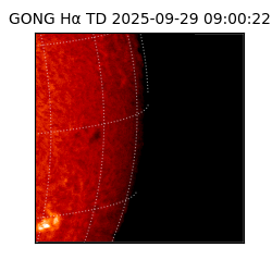 gong - 2025-09-29T09:00:22