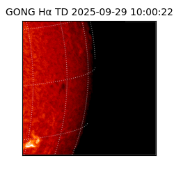 gong - 2025-09-29T10:00:22
