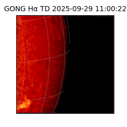 gong - 2025-09-29T11:00:22