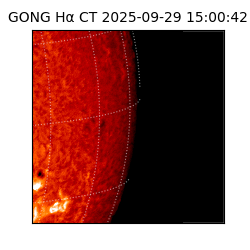 gong - 2025-09-29T15:00:42