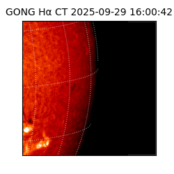 gong - 2025-09-29T16:00:42