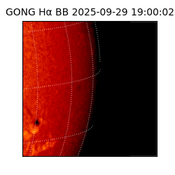 gong - 2025-09-29T19:00:02