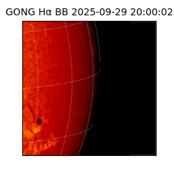 gong - 2025-09-29T20:00:02