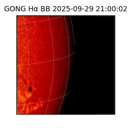 gong - 2025-09-29T21:00:02