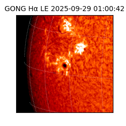 gong - 2025-09-29T01:00:42