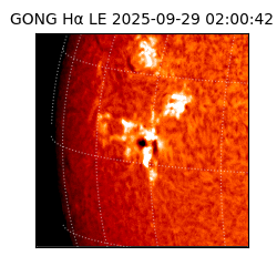 gong - 2025-09-29T02:00:42