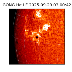 gong - 2025-09-29T03:00:42