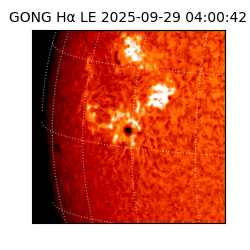 gong - 2025-09-29T04:00:42