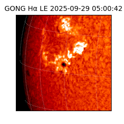 gong - 2025-09-29T05:00:42