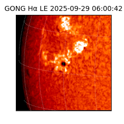 gong - 2025-09-29T06:00:42