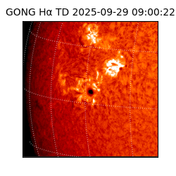 gong - 2025-09-29T09:00:22