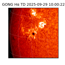 gong - 2025-09-29T10:00:22