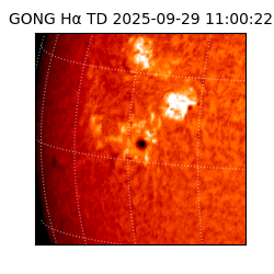 gong - 2025-09-29T11:00:22