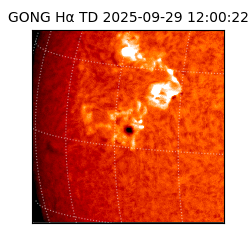 gong - 2025-09-29T12:00:22