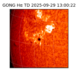 gong - 2025-09-29T13:00:22