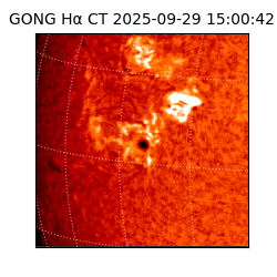 gong - 2025-09-29T15:00:42