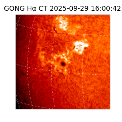 gong - 2025-09-29T16:00:42