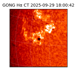 gong - 2025-09-29T18:00:42
