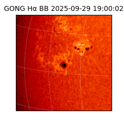 gong - 2025-09-29T19:00:02