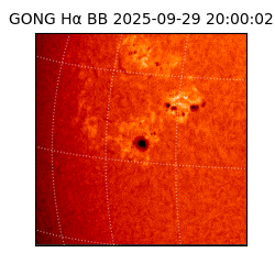 gong - 2025-09-29T20:00:02