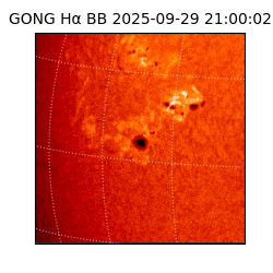 gong - 2025-09-29T21:00:02