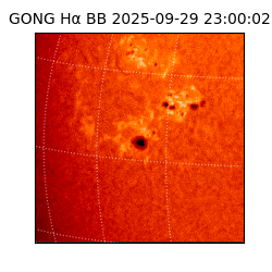 gong - 2025-09-29T23:00:02