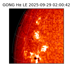 gong - 2025-09-29T02:00:42
