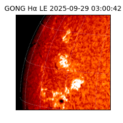 gong - 2025-09-29T03:00:42