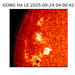 gong - 2025-09-29T04:00:42