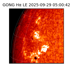 gong - 2025-09-29T05:00:42