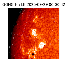 gong - 2025-09-29T06:00:42