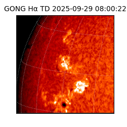gong - 2025-09-29T08:00:22