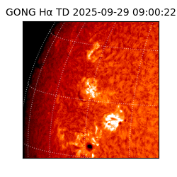 gong - 2025-09-29T09:00:22