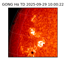 gong - 2025-09-29T10:00:22