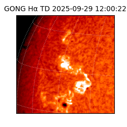 gong - 2025-09-29T12:00:22