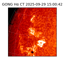 gong - 2025-09-29T15:00:42