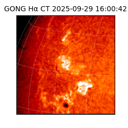 gong - 2025-09-29T16:00:42