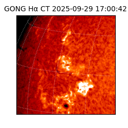 gong - 2025-09-29T17:00:42