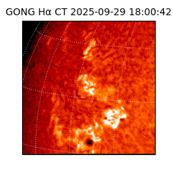 gong - 2025-09-29T18:00:42
