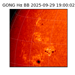 gong - 2025-09-29T19:00:02