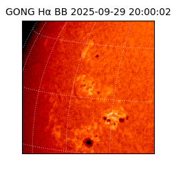 gong - 2025-09-29T20:00:02