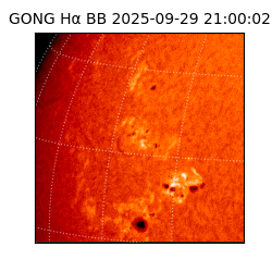 gong - 2025-09-29T21:00:02