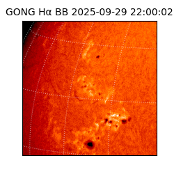 gong - 2025-09-29T22:00:02