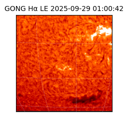 gong - 2025-09-29T01:00:42