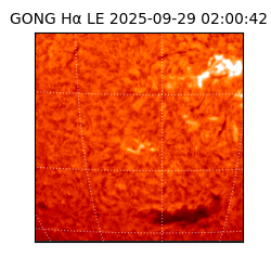 gong - 2025-09-29T02:00:42