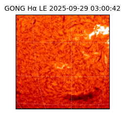 gong - 2025-09-29T03:00:42