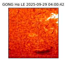 gong - 2025-09-29T04:00:42