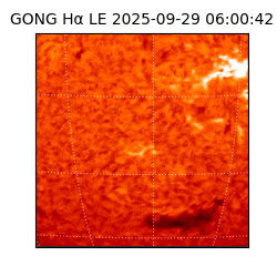 gong - 2025-09-29T06:00:42