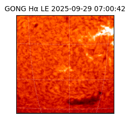gong - 2025-09-29T07:00:42